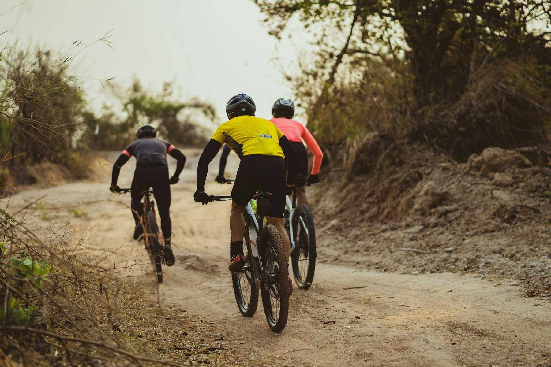 Best Mountain Bike Phone Mounts: Secure and Convenient Solutions