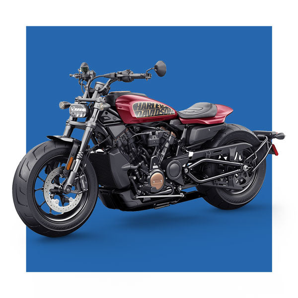 Handlebar Mounts