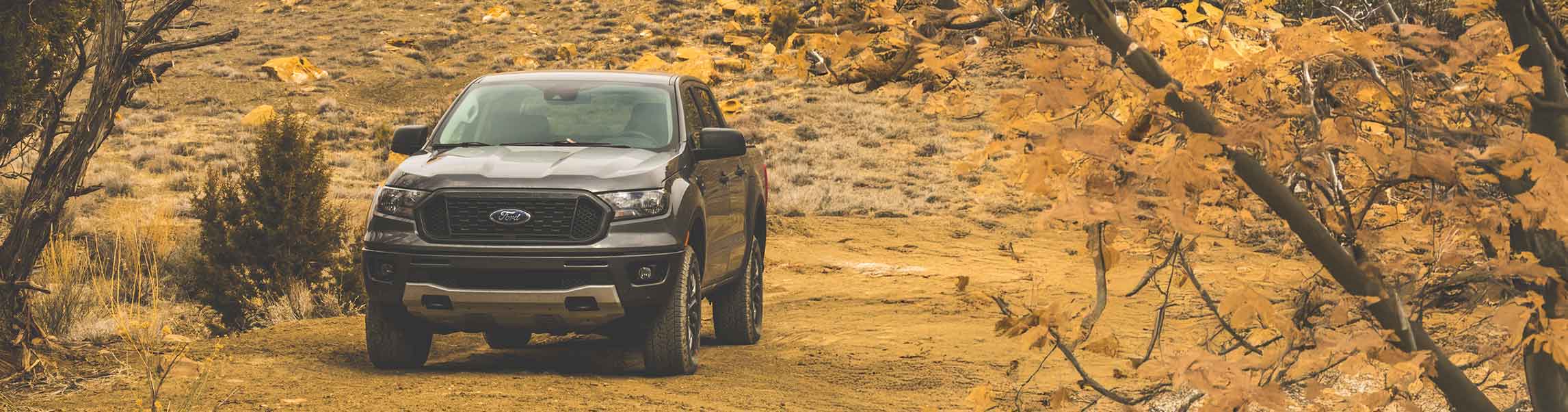 Ford Ranger Phone Mounts